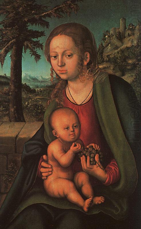 Lucas  Cranach The Madonna with the Bunch of Grapes oil painting picture